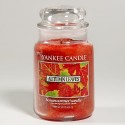 Yankee Candle Coupon Code - Buy 2, Get 2 Free Jar Candles thru 11/29